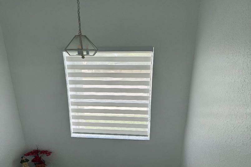 6BC58E13-CA94-4C7E-88E8-D5AEC50E6566