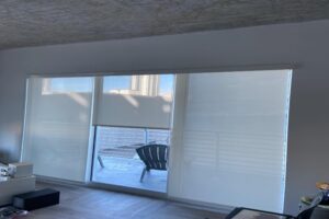 rollershades (2)